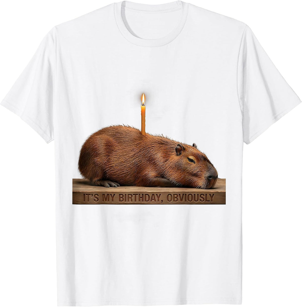 Men's It's My Birthday, Obviously Kawaii Capybara Birthday To Me T-Shirt - White