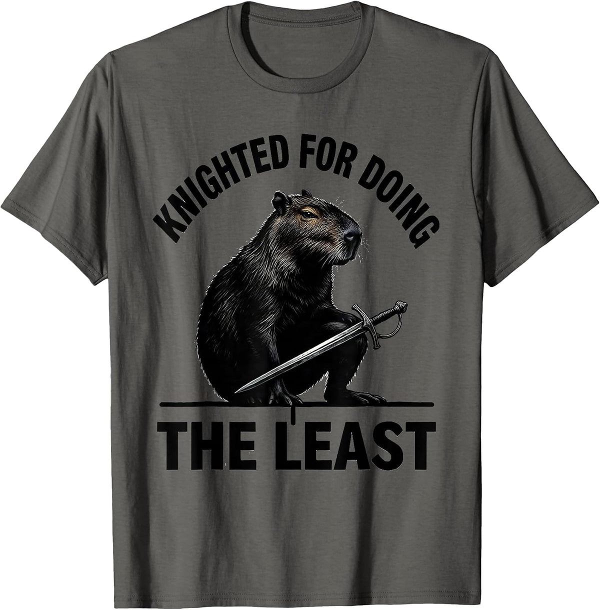 Men's Knighted For Doing The Least Funny Capybara Animal Meme T-Shirt - Asphalt Grey