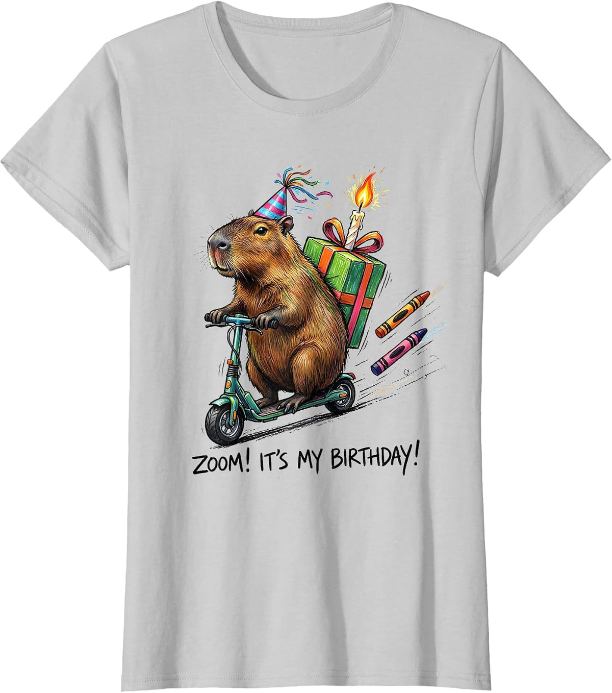 Women's Zoom! It's My Birthday Capybara Kids Party Humor T-Shirt - Silver Grey