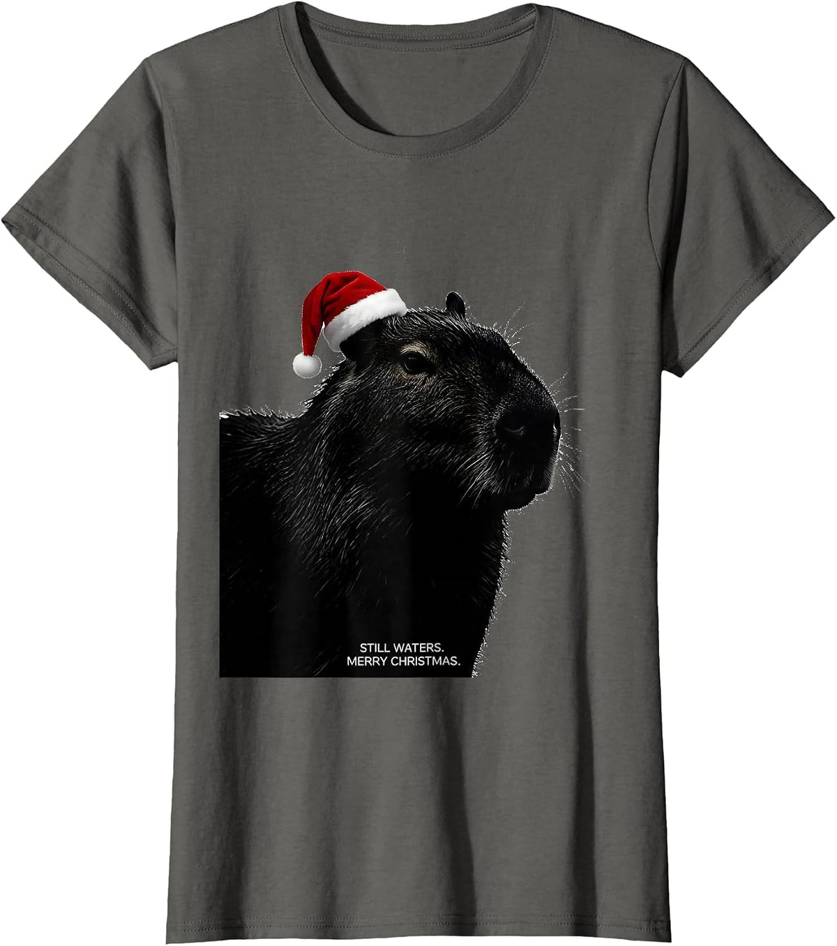 Women's Still Waters Merry Christmas Cute Capybara Santa Hat Family T-Shirt - Asphalt Grey