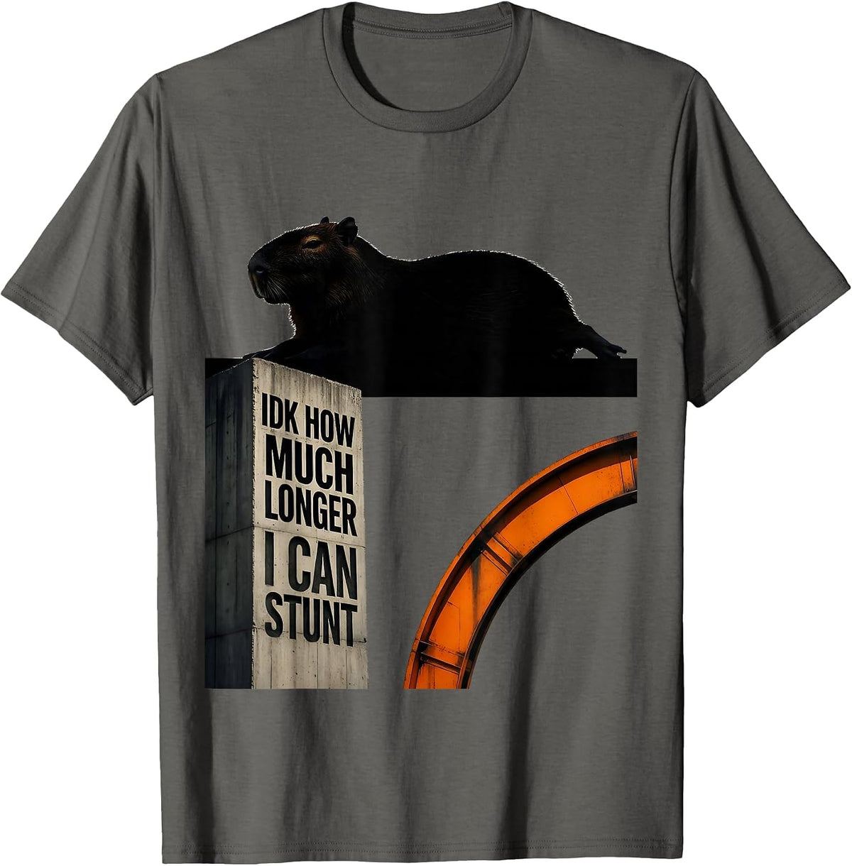 Idk How Much Longer I Can Stunt Funny Capybara Dank Meme T-Shirt - Asphalt Grey