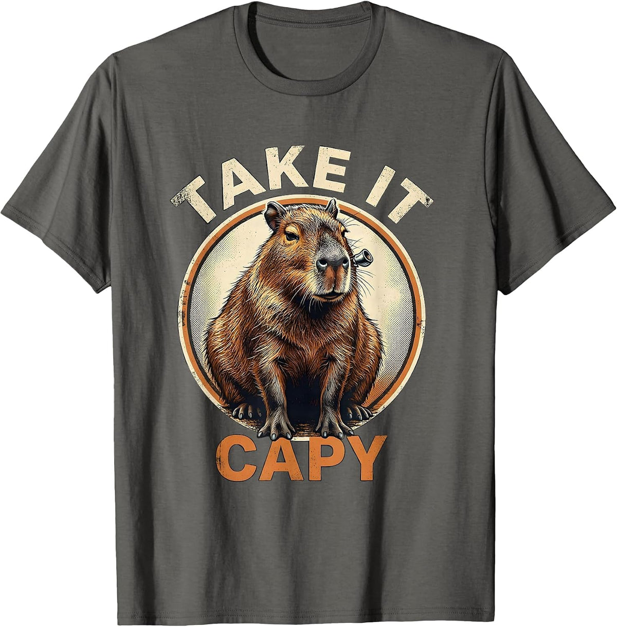 Take It Capy Funny Capybara Vintage Meme Humor Animal Lover T-Shirt - Asphalt Grey