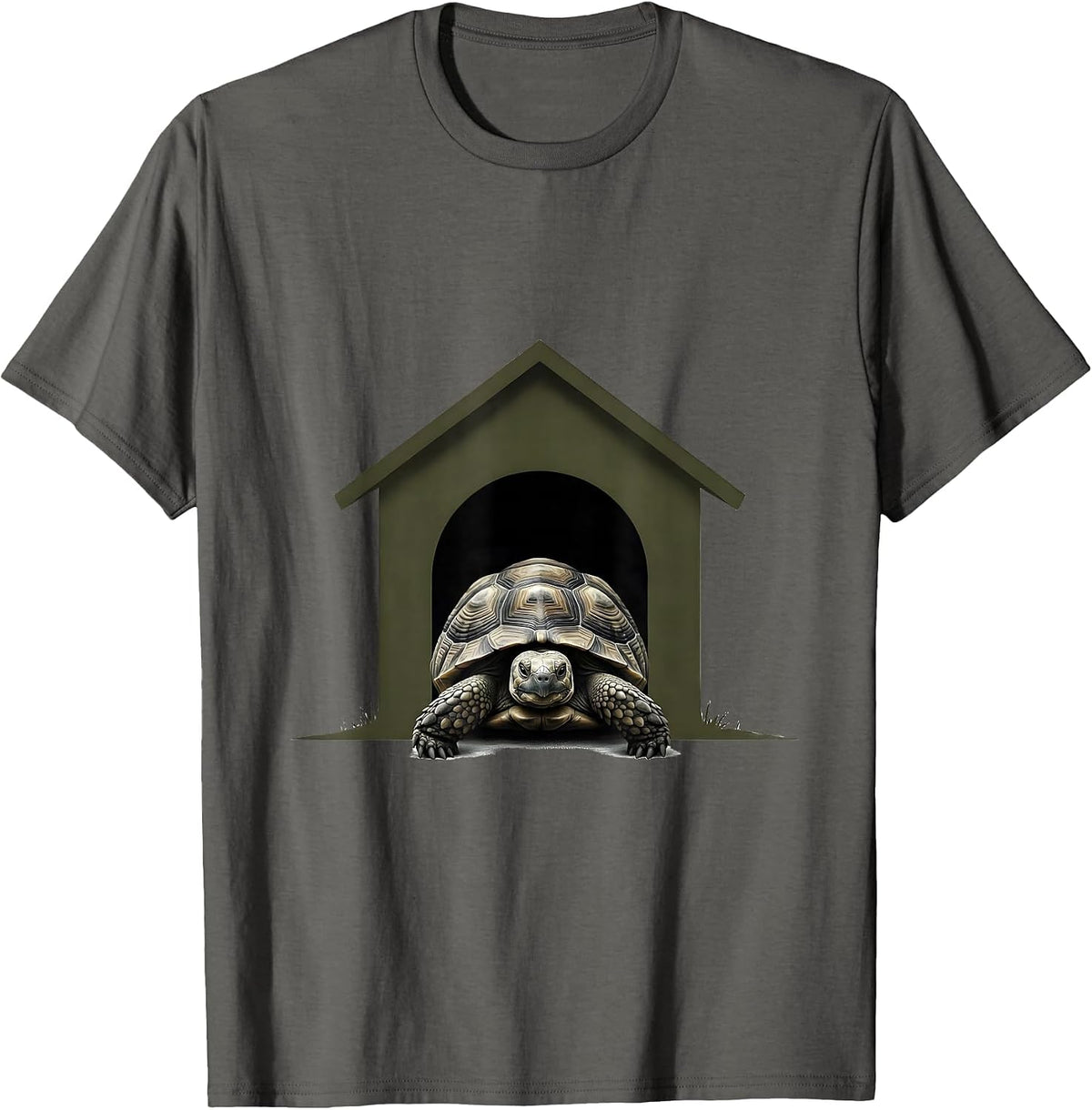 Arched Tortoise Silhouette Minimalist Reptile Lover Gift T-Shirt - Asphalt Grey