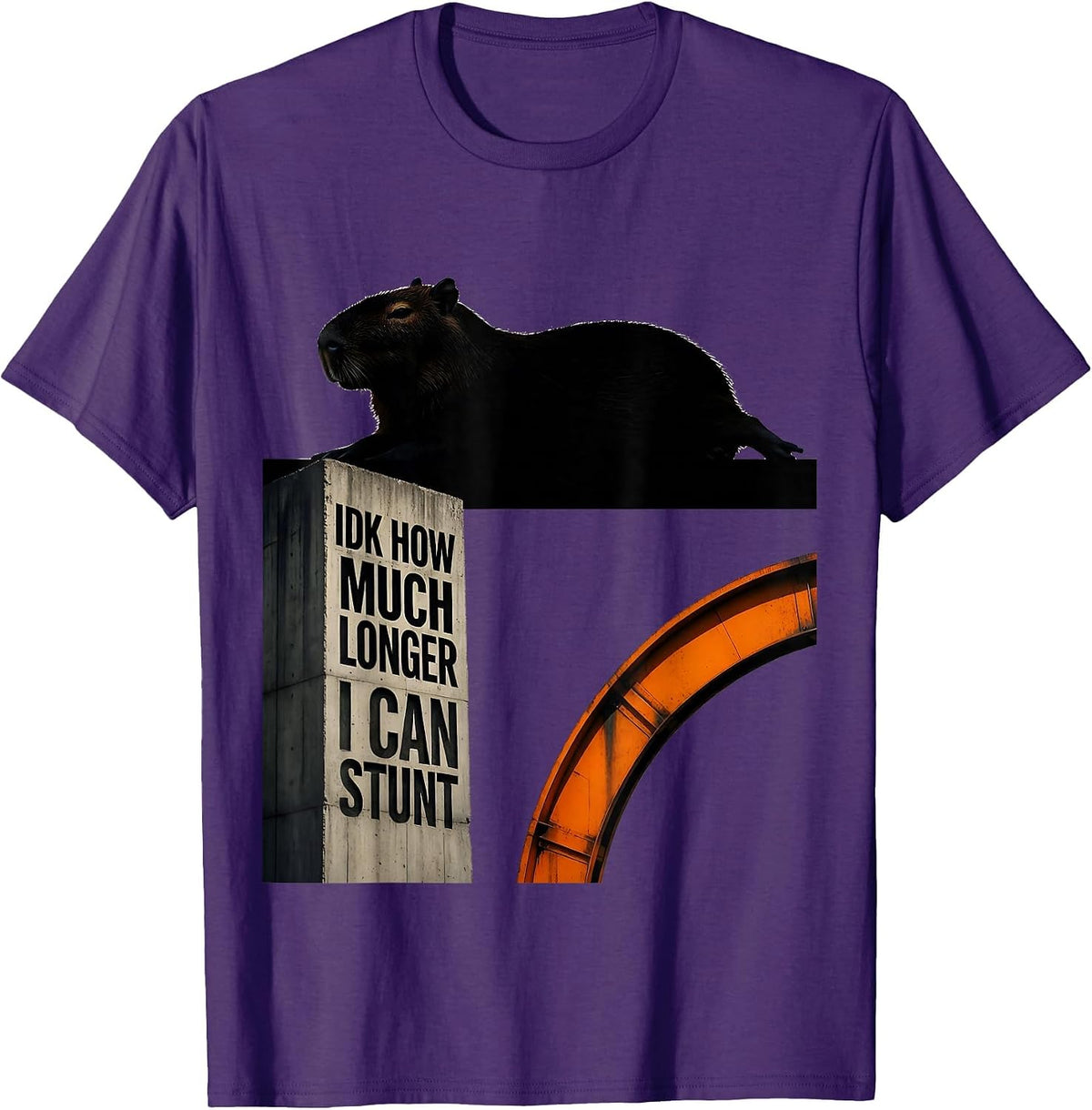 Idk How Much Longer I Can Stunt Funny Capybara Dank Meme T-Shirt - Purple
