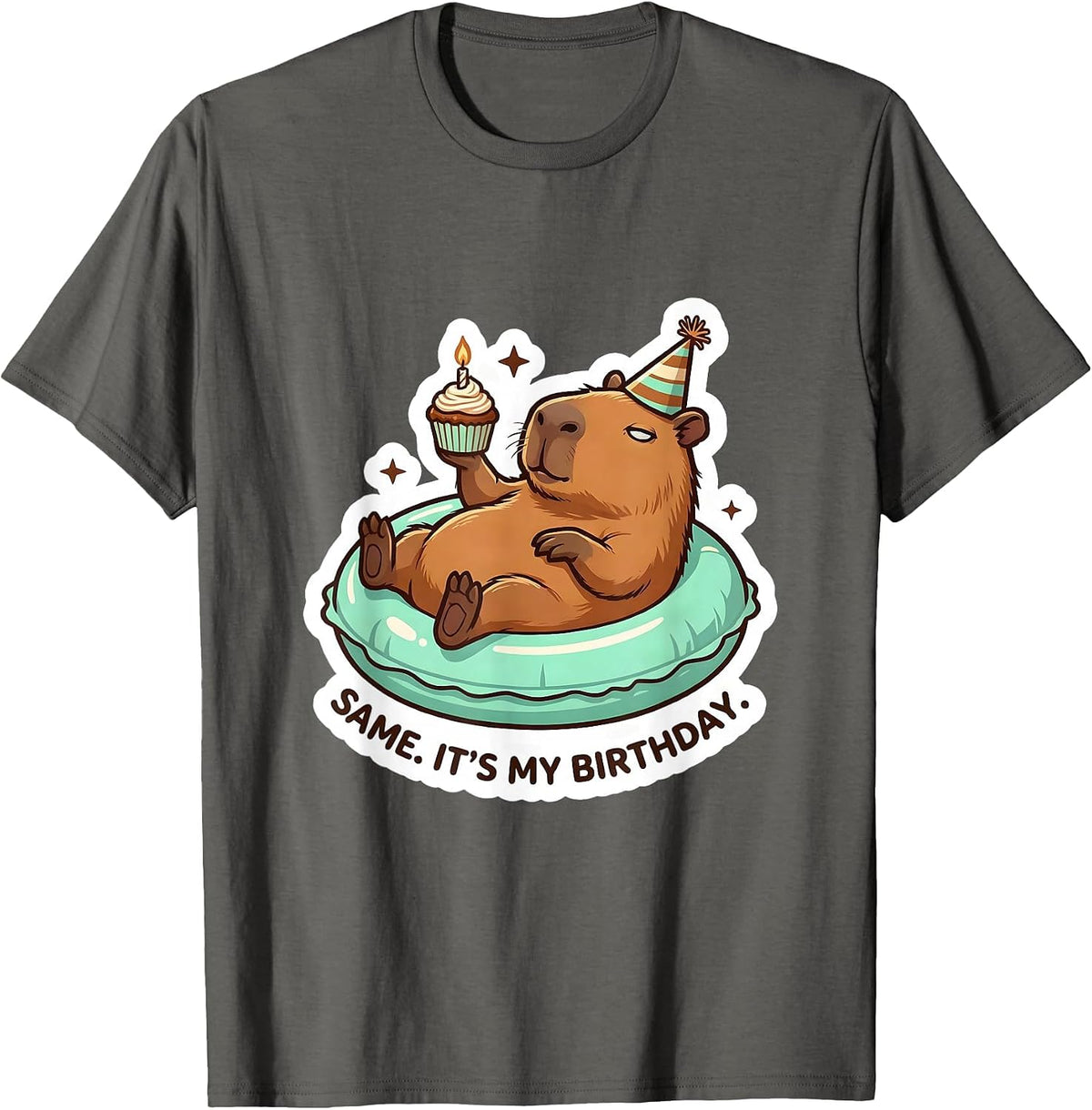 Same It's My Birthday Kawaii Capybara Birthday Boy Girl T-Shirt - Asphalt Grey