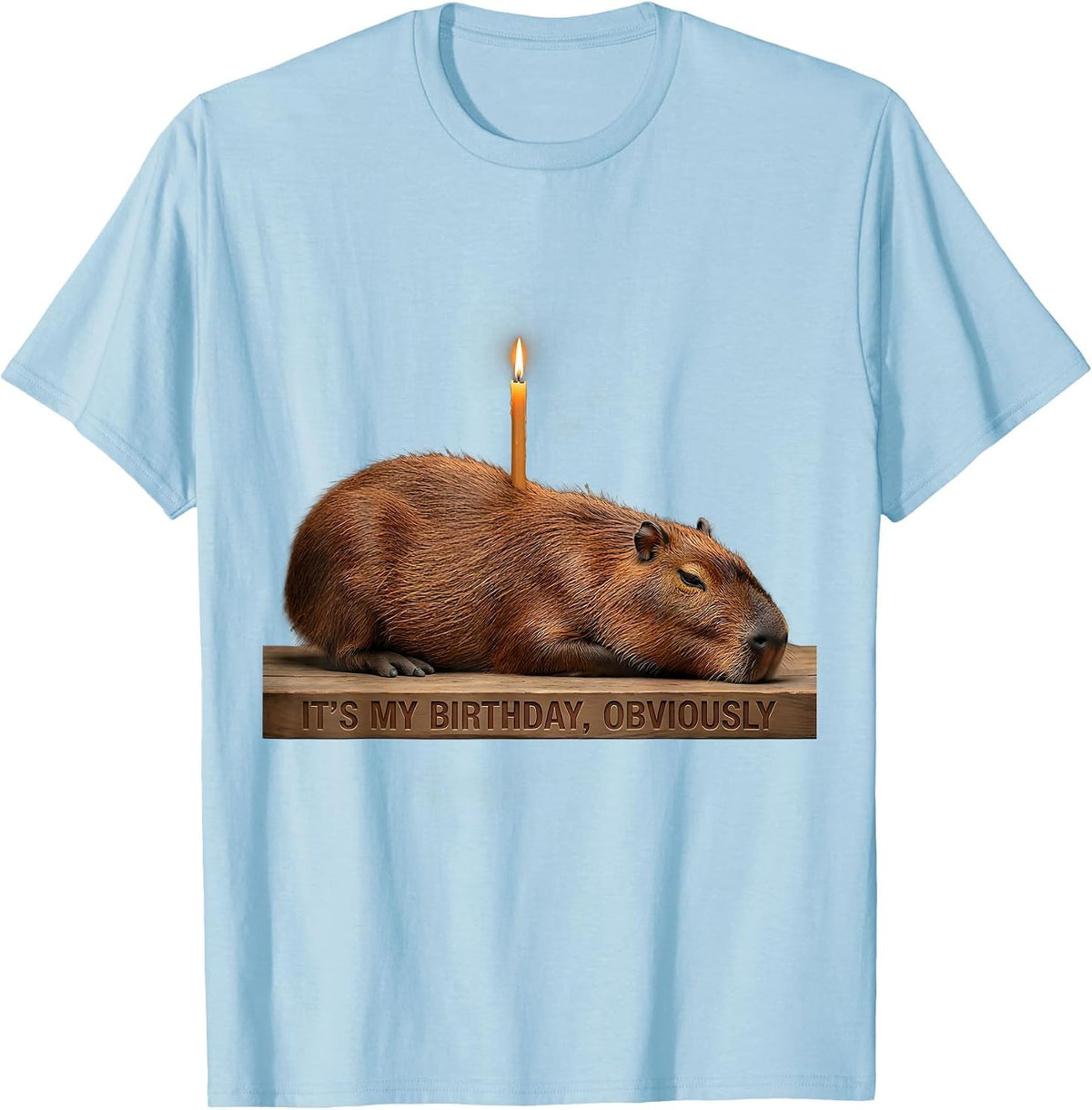 Men's It's My Birthday, Obviously Kawaii Capybara Birthday To Me T-Shirt - Baby Blue