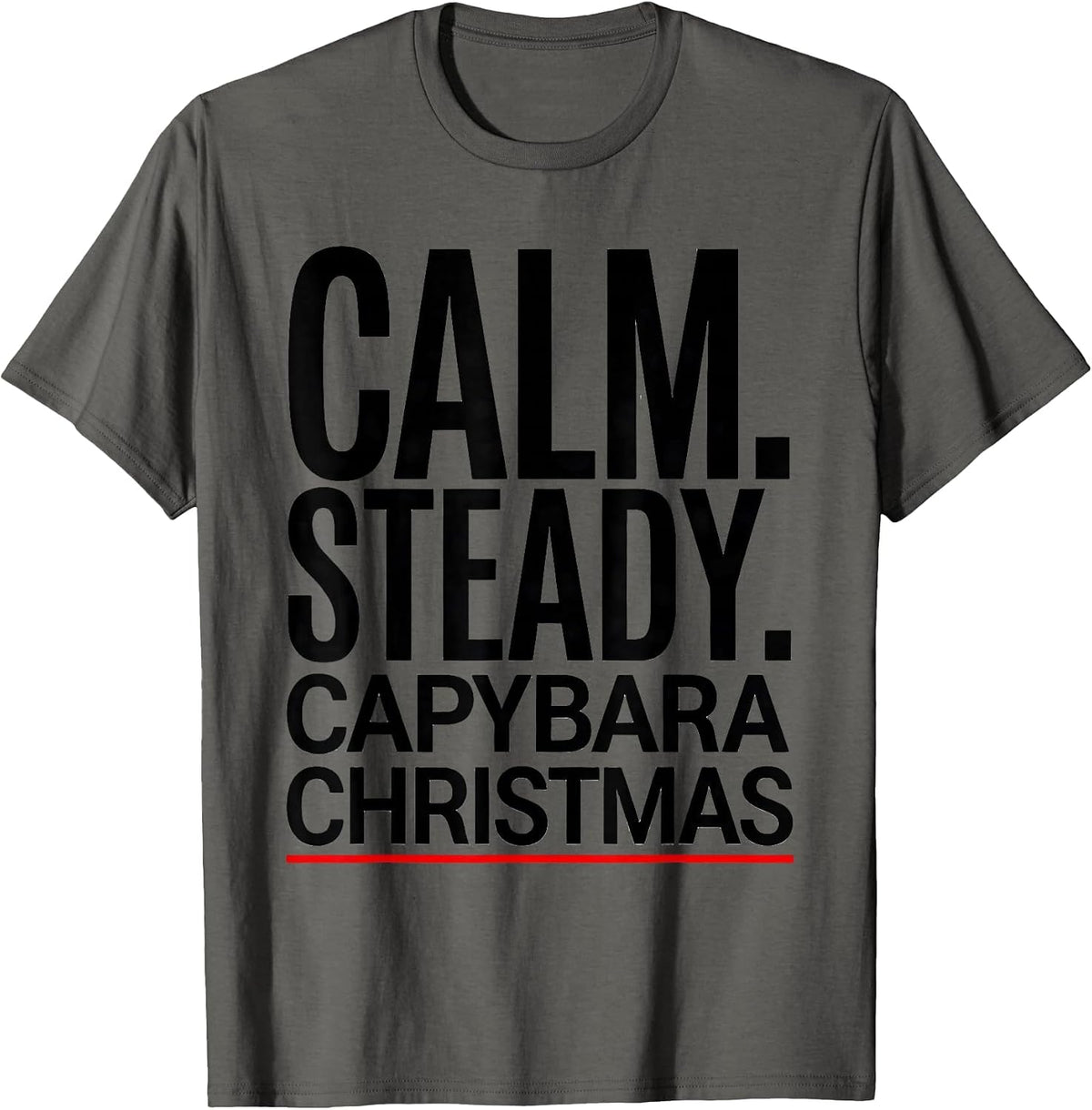 Calm Steady Capybara Christmas Cute Holiday Humor T-Shirt - Asphalt Grey