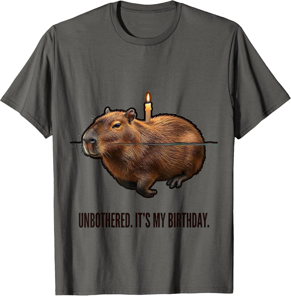 Unbothered It's My Birthday Kawaii Capybara Birthday To Me T-Shirt - Asphalt Grey
