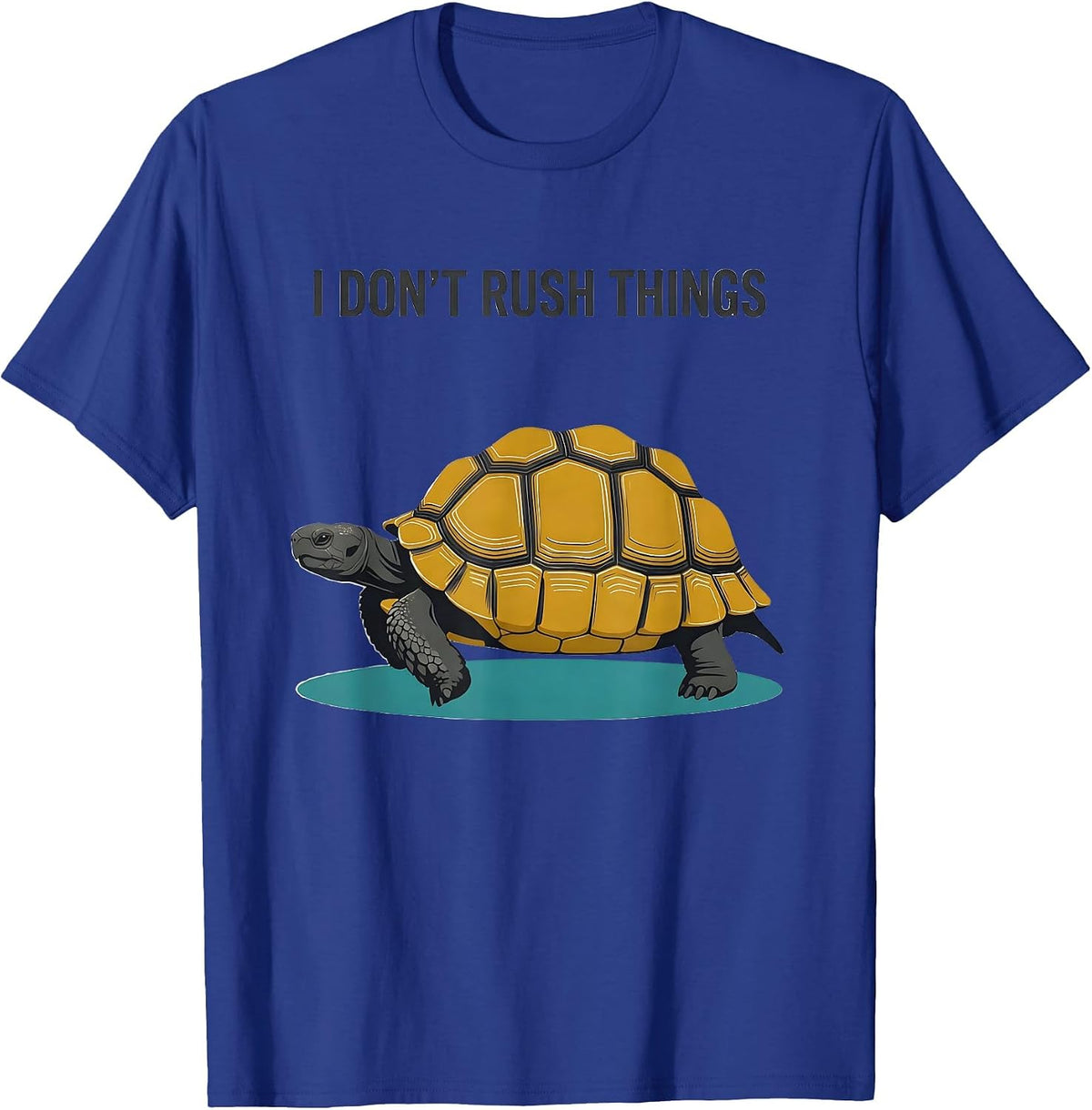 Men's I Don't Rush Things Midcentury Modern Tortoise Lover Gift T-Shirt - Royal Blue