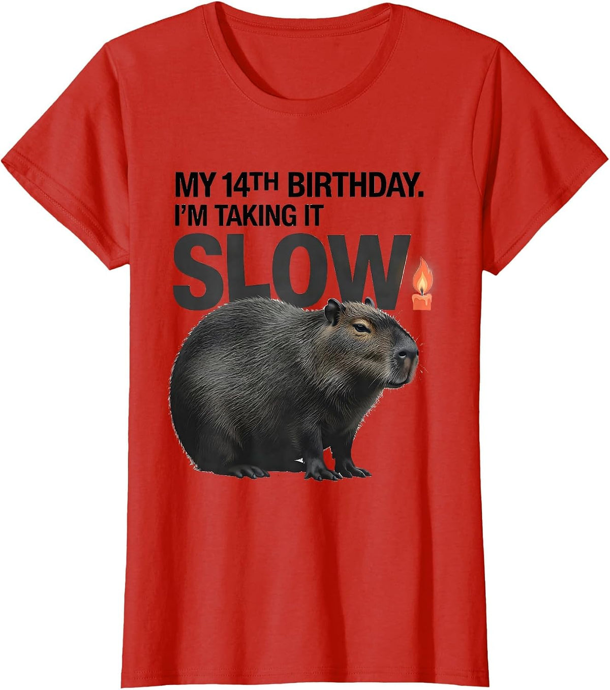 My 14th Birthday I'm Taking It Slow Kawaii Capybara Birthday T-Shirt - Red