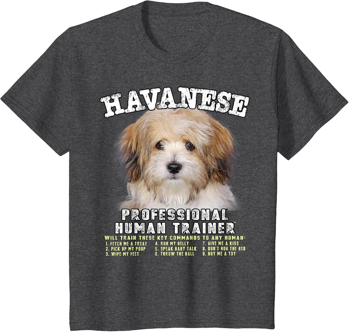 Havanese Professional Human Trainer T-Shirt - Dark Heather Grey