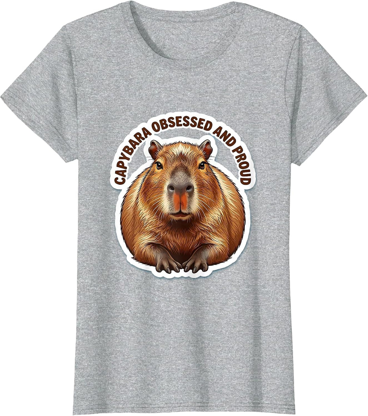 Capybara Obsessed And Proud Funny Animal Meme Gamer Gift T-Shirt - Heather Grey