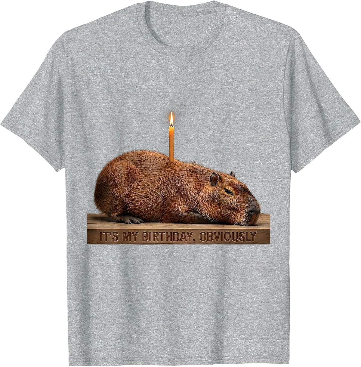 Men's It's My Birthday, Obviously Kawaii Capybara Birthday To Me T-Shirt - Heather Grey