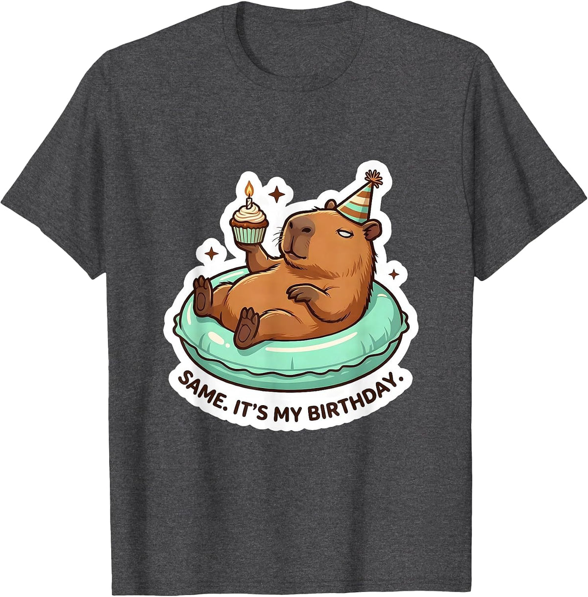 Same It's My Birthday Kawaii Capybara Birthday Boy Girl T-Shirt - Dark Heather Grey