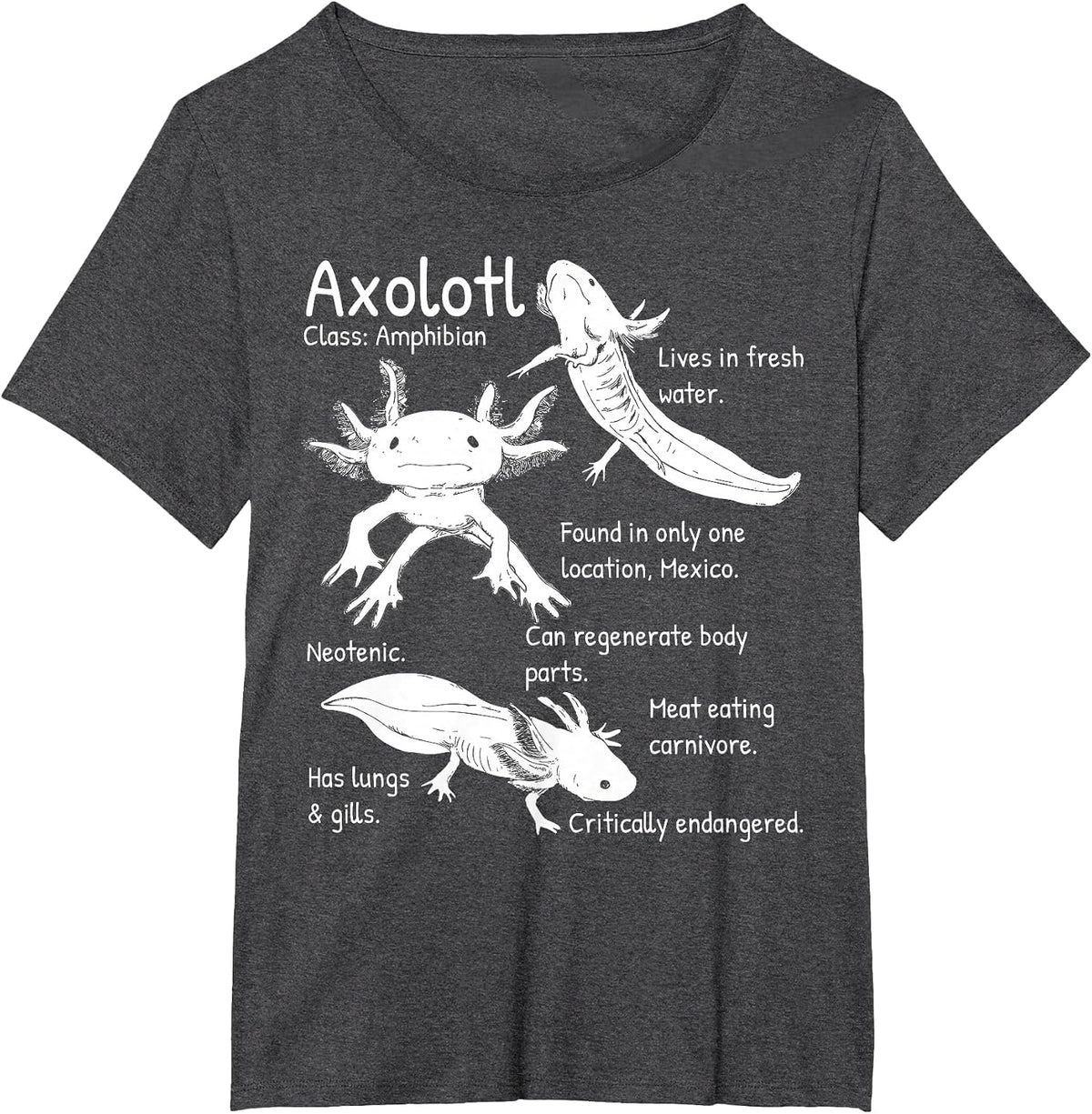 Axolotl Facts Species Types Endangered Animals Illustration T-Shirt - Dark Heather Grey