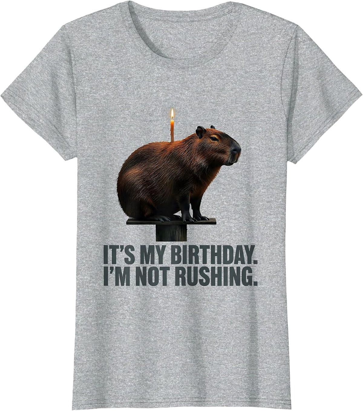 It's My Birthday. I'm Not Rushing Kawaii Capybara Birthday T-Shirt - Heather Grey