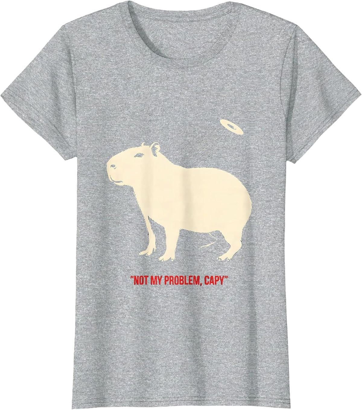 Women's Not My Problem Capy Funny Capybara Animal Meme Gamer T-Shirt - Heather Grey