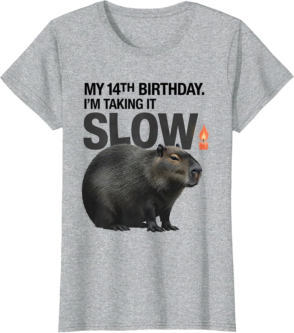 My 14th Birthday I'm Taking It Slow Kawaii Capybara Birthday T-Shirt - Heather Grey