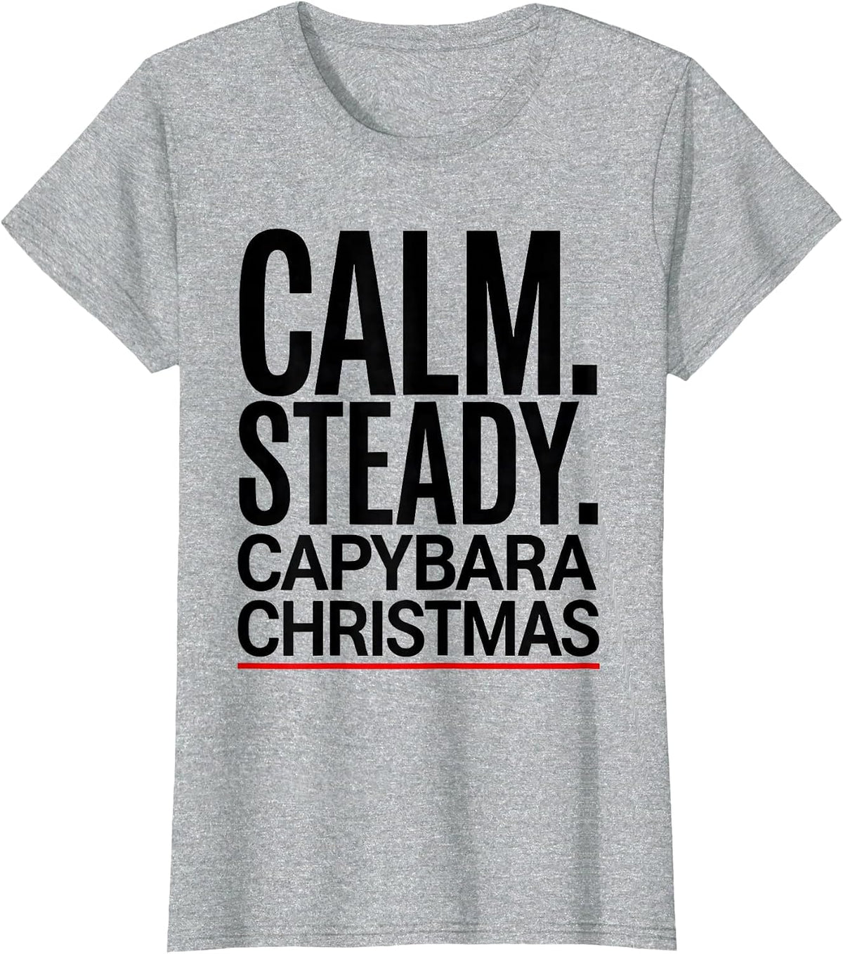 Calm Steady Capybara Christmas Cute Holiday Humor T-Shirt - Heather Grey
