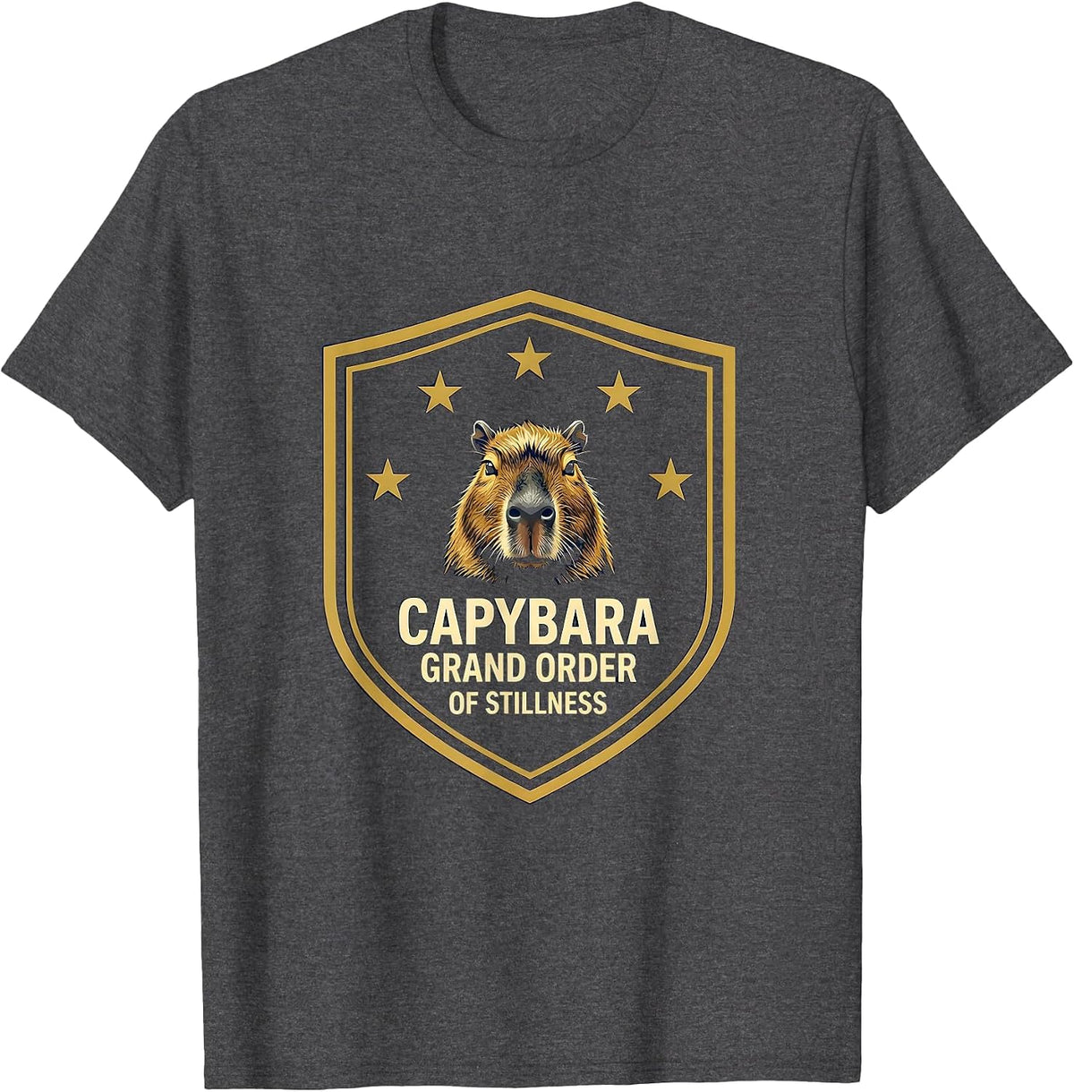 Capybara Grand Order of Stillness Funny Animal Meme Youth T-Shirt - Dark Heather Grey