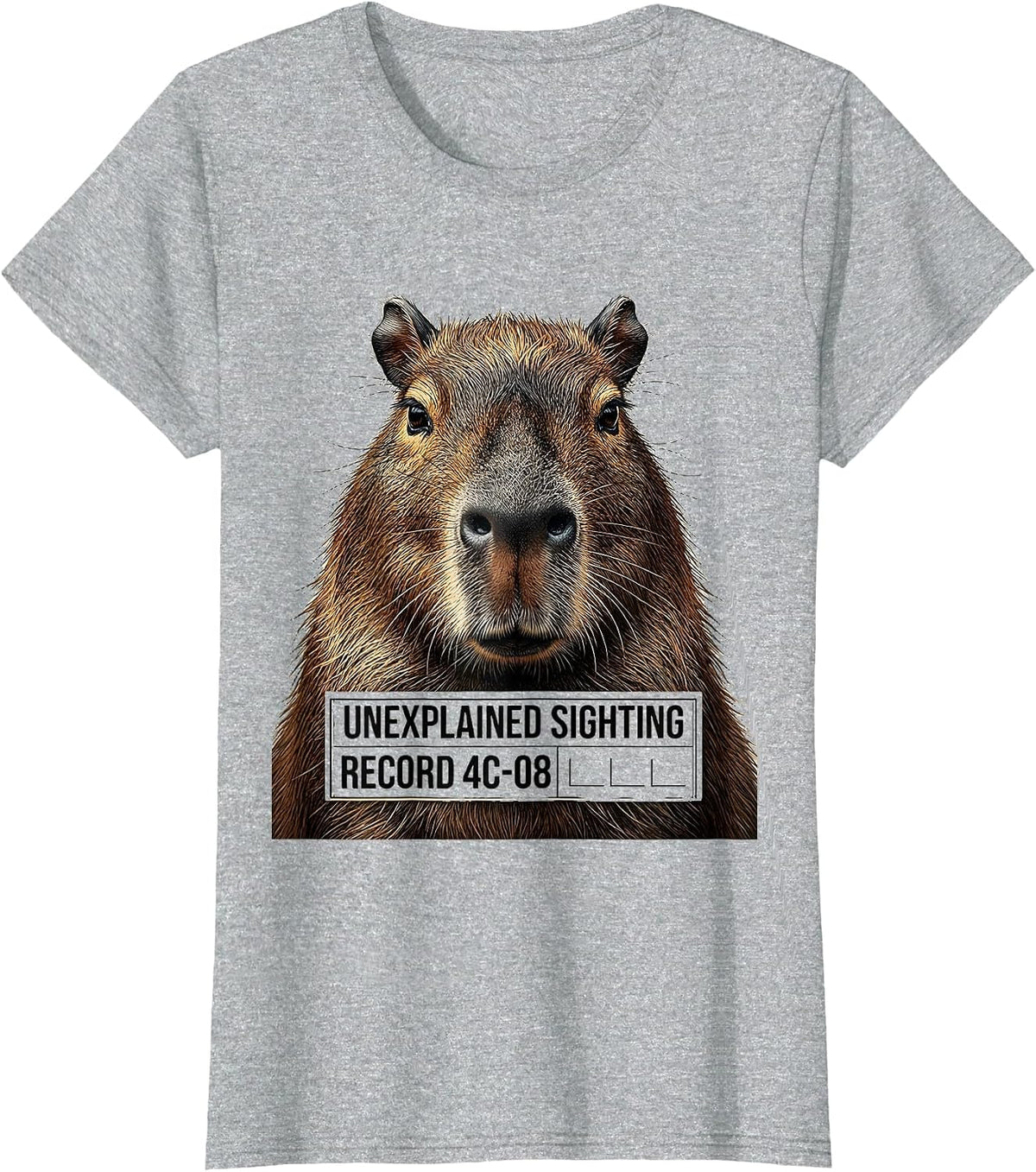 Women's Unexplained Sighting Record 4C-08 Funny Capybara Meme Gamer T-Shirt - Heather Grey