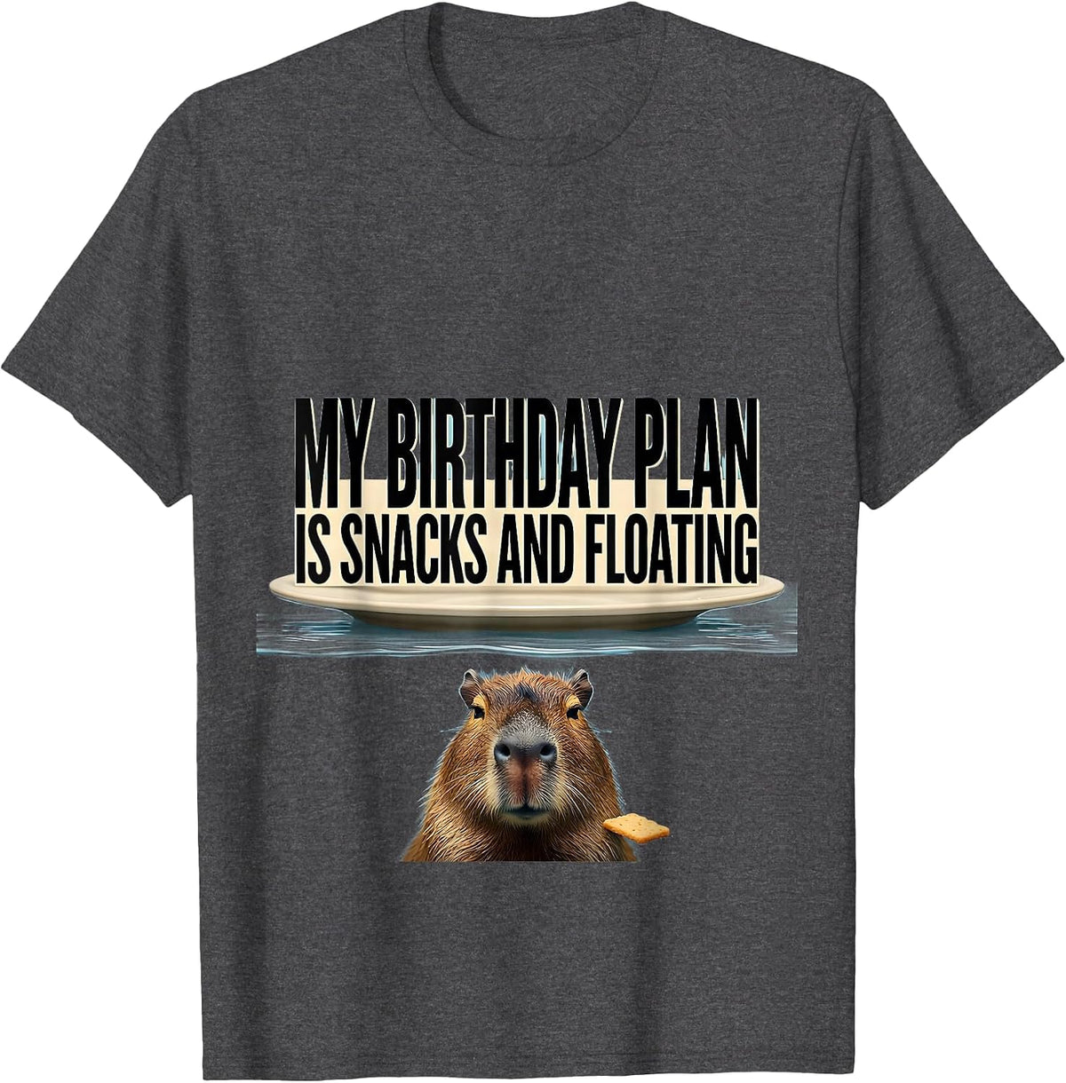 Men's My Birthday Plan Is Snacks And Floating Capybara Humor T-Shirt - Dark Heather Grey