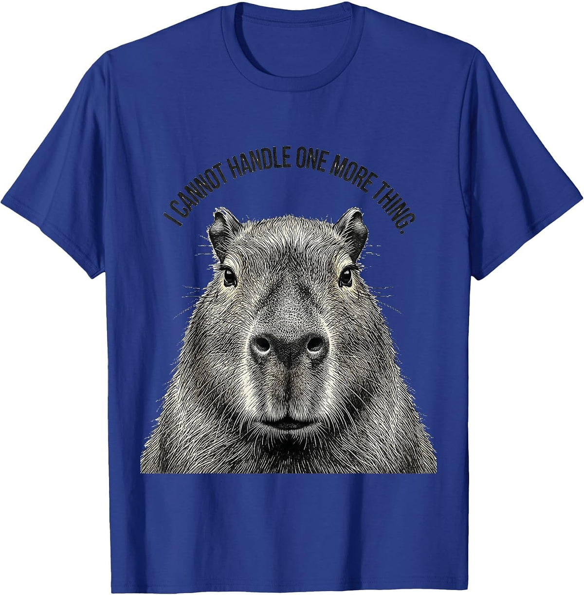 I Cannot Handle One More Thing Funny Capybara Meme Humor T-Shirt - Royal Blue