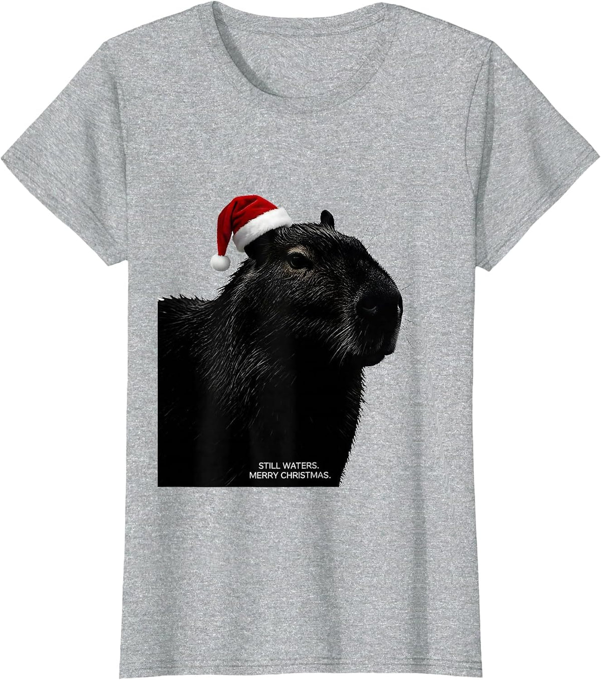 Women's Still Waters Merry Christmas Cute Capybara Santa Hat Family T-Shirt - Heather Grey