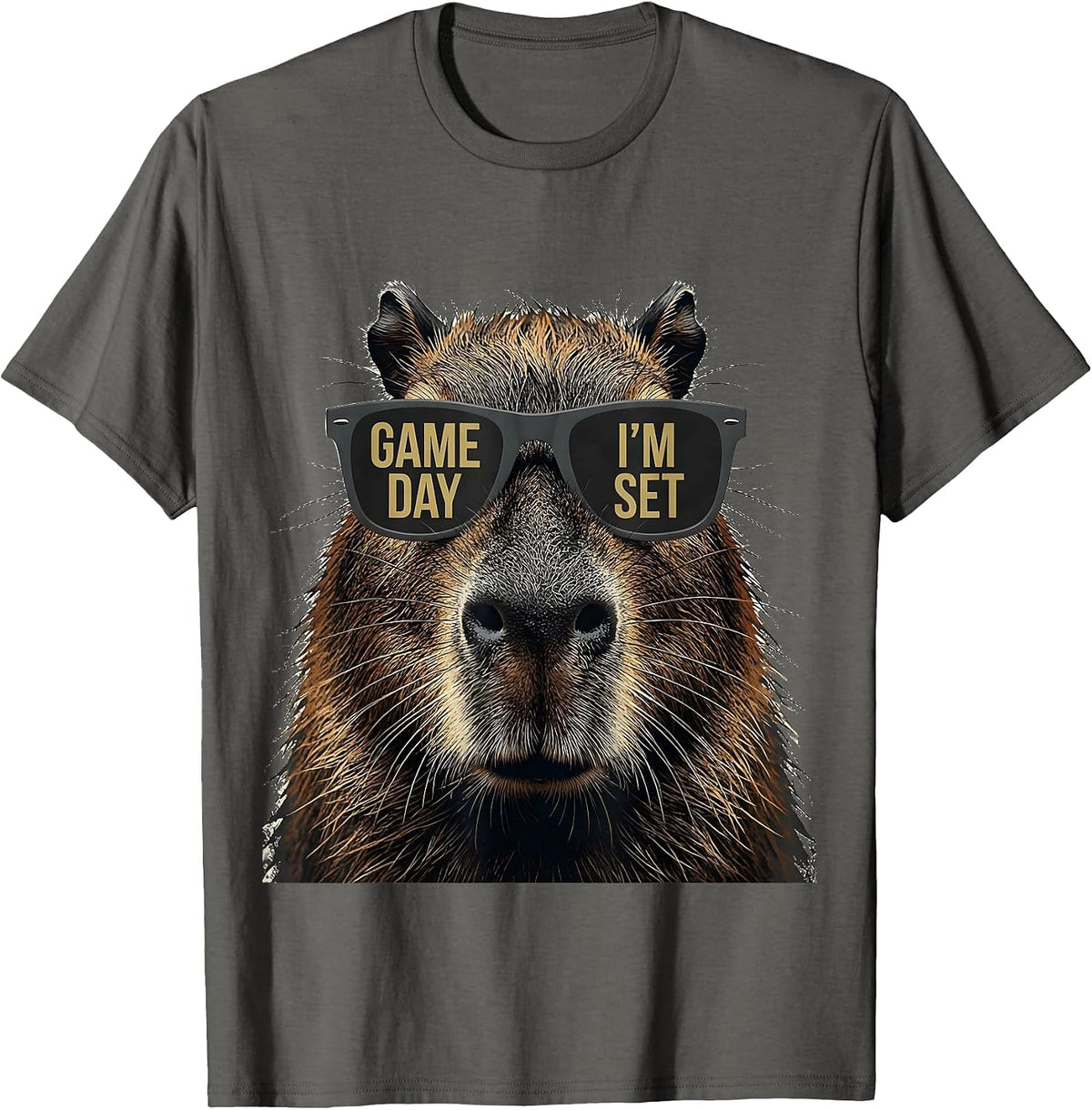 Men's Game Day, I'm Set Distressed Capybara Animal Mascot T-Shirt - Asphalt Grey