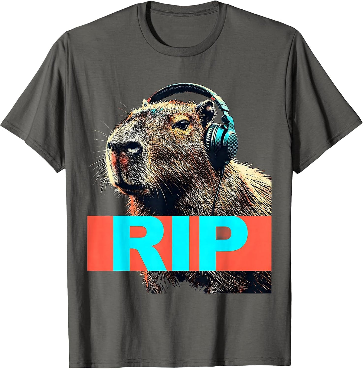 RIP Capybara Gamer Meme Humor Funny Gaming Gift T-Shirt - Asphalt Grey