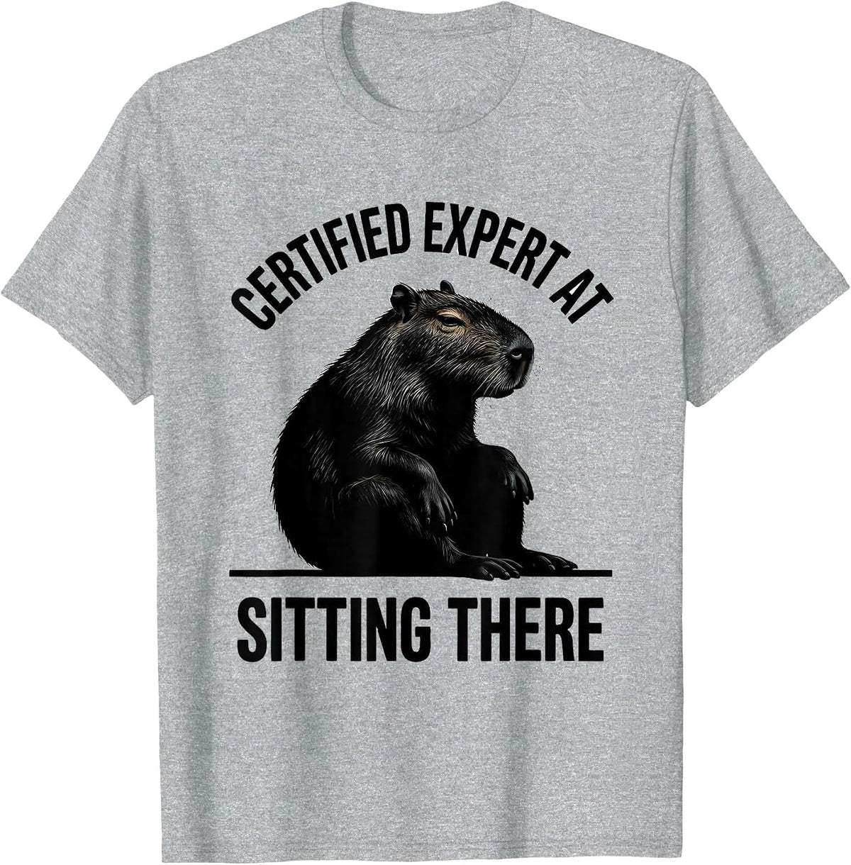 Men's Certified Expert At Sitting There Funny Capybara Animal Meme T-Shirt - Heather Grey