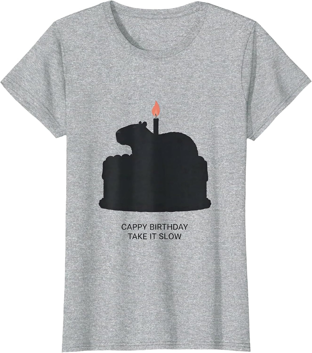 Cappy Birthday Take It Slow Cute Capybara Birthday Pun T-Shirt - Heather Grey