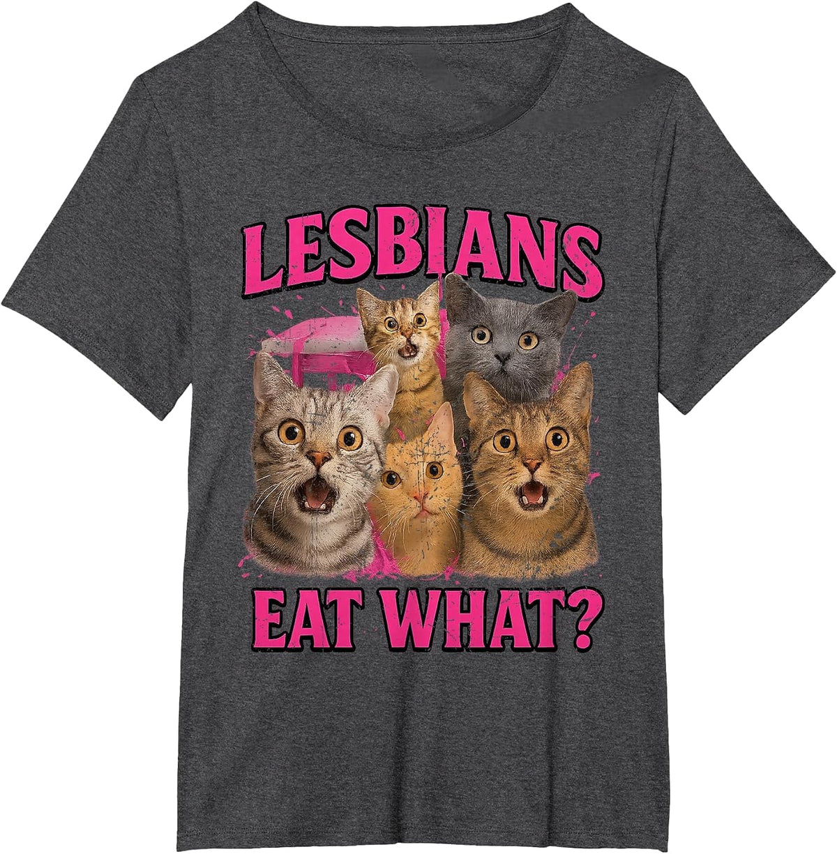 Lesbians Eat What?! Funny Cat Gay Pride LGBTQ Pride Month T-Shirt - Dark Heather Grey