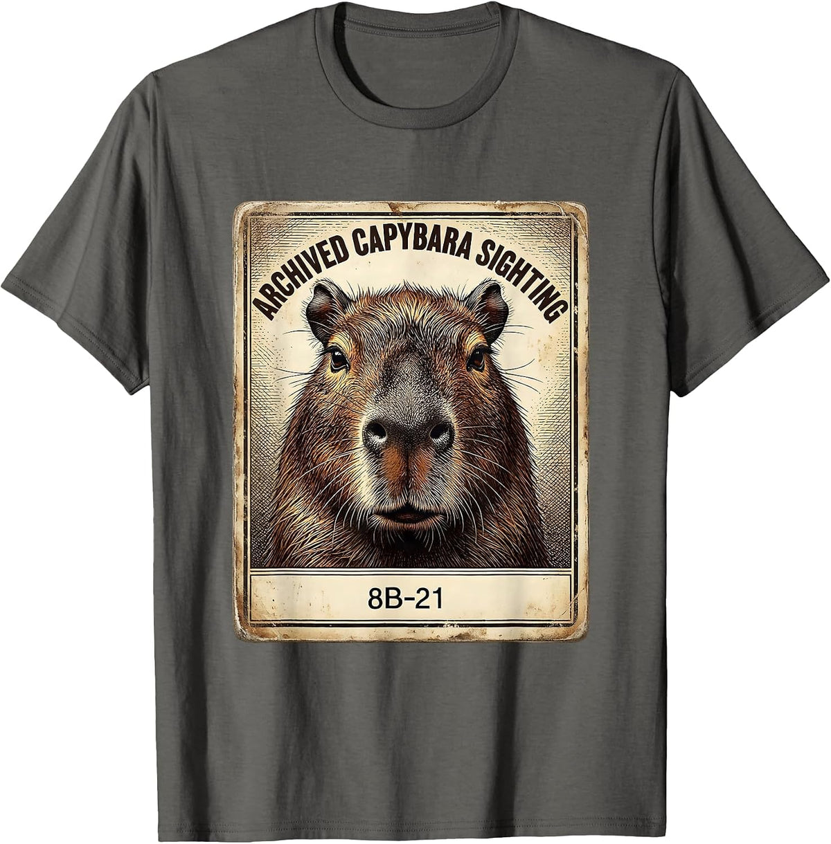 Archived Capybara Sighting 8B-21 Funny Vintage Animal Meme T-Shirt - Asphalt Grey
