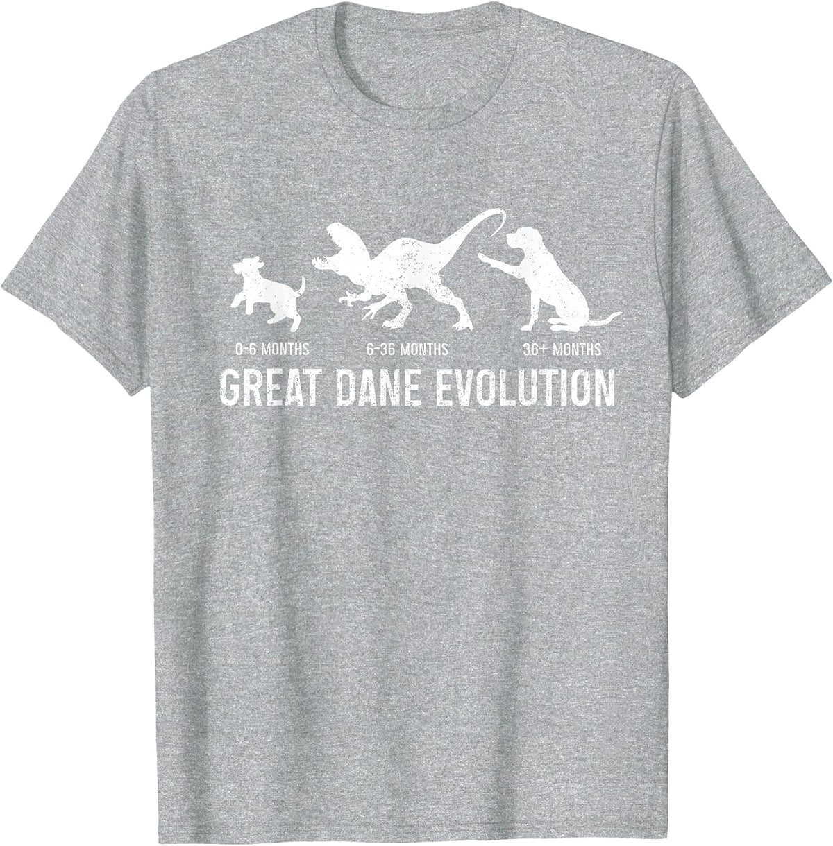 Great Dane Shirt Evolution Great Dane Mom Dog Owner T-Shirt - Heather Grey