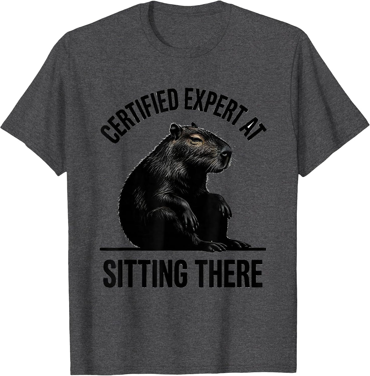 Men's Certified Expert At Sitting There Funny Capybara Animal Meme T-Shirt - Dark Heather Grey
