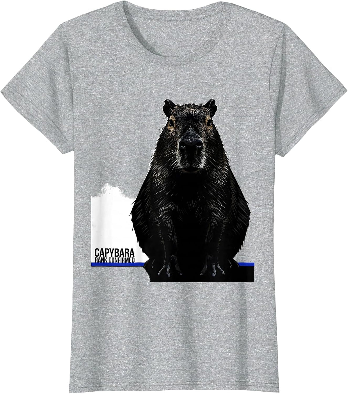 Capybara, Rank Confirmed Funny Animal Lover Meme Humor T-Shirt - Heather Grey