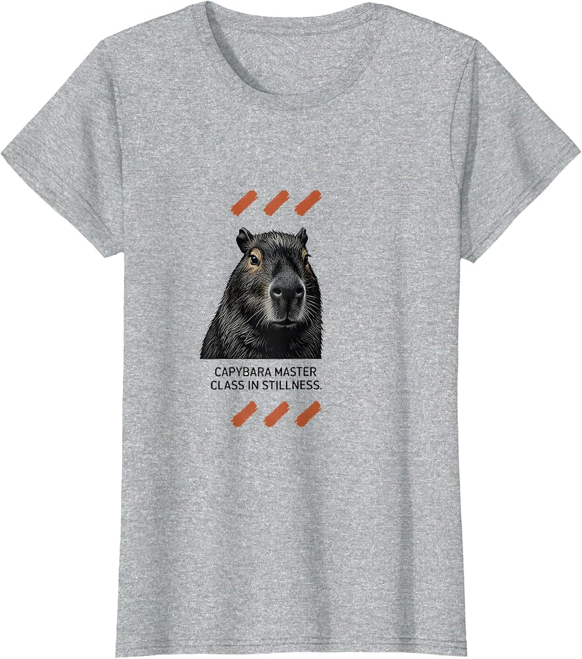 Capybara Master Class in Stillness Funny Animal Humor T-Shirt - Heather Grey
