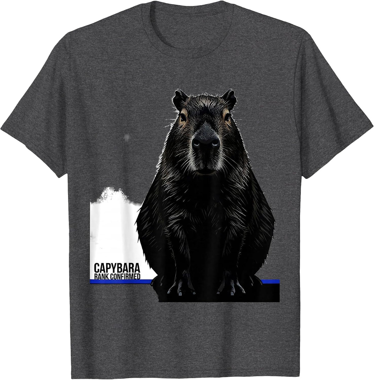 Capybara, Rank Confirmed Funny Animal Lover Meme Humor T-Shirt - Dark Heather Grey