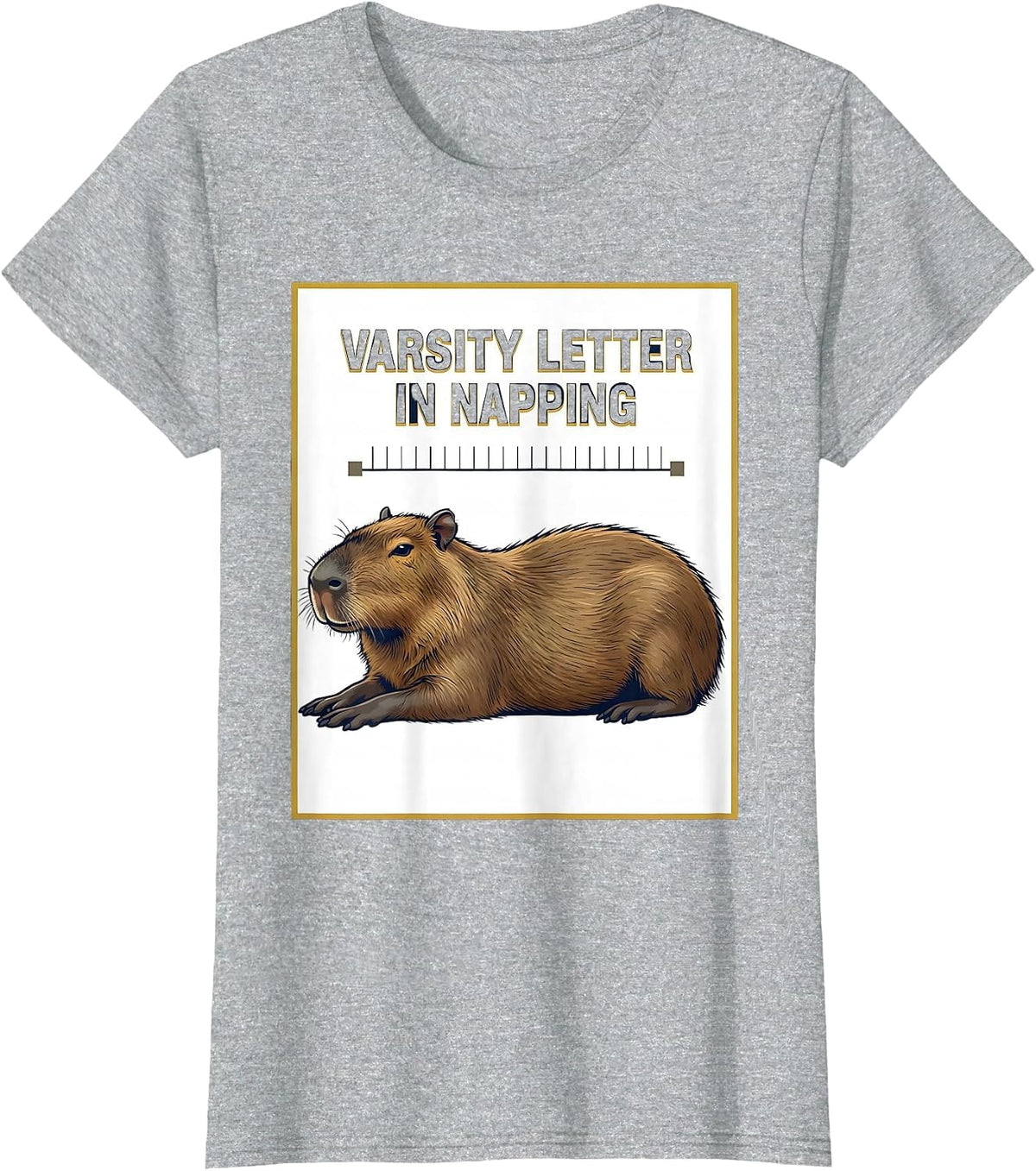 Varsity Letter In Napping Funny Capybara Animal Humor T-Shirt - Heather Grey