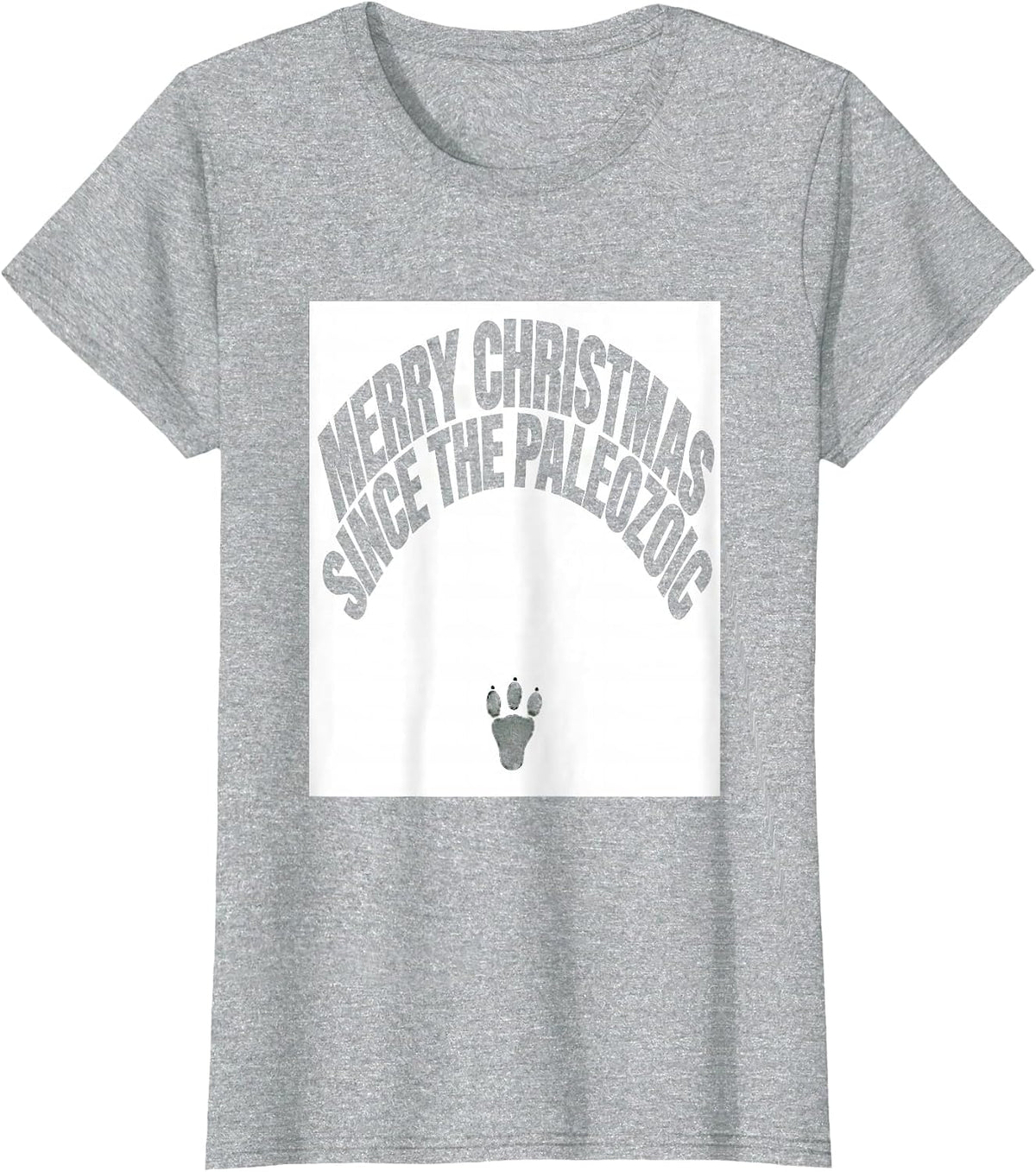 Women's Merry Christmas Since The Paleozoic Funny Dinosaur Lover T-Shirt - Heather Grey