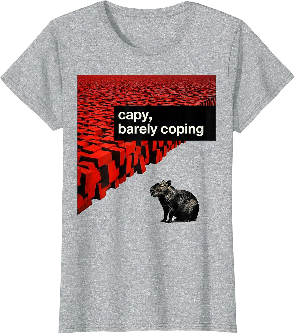 Women's capy barely coping Funny Capybara Meme Animal Humor T-Shirt - Heather Grey