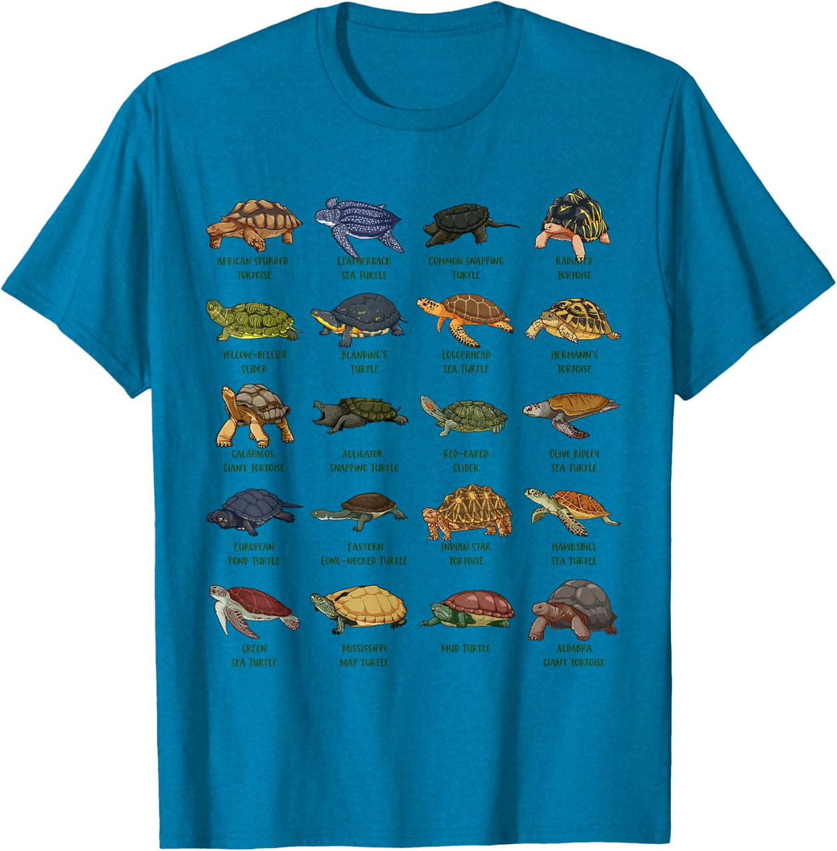 Tortoises and Turtles - Types of Turtles T-Shirt - Sapphire Blue