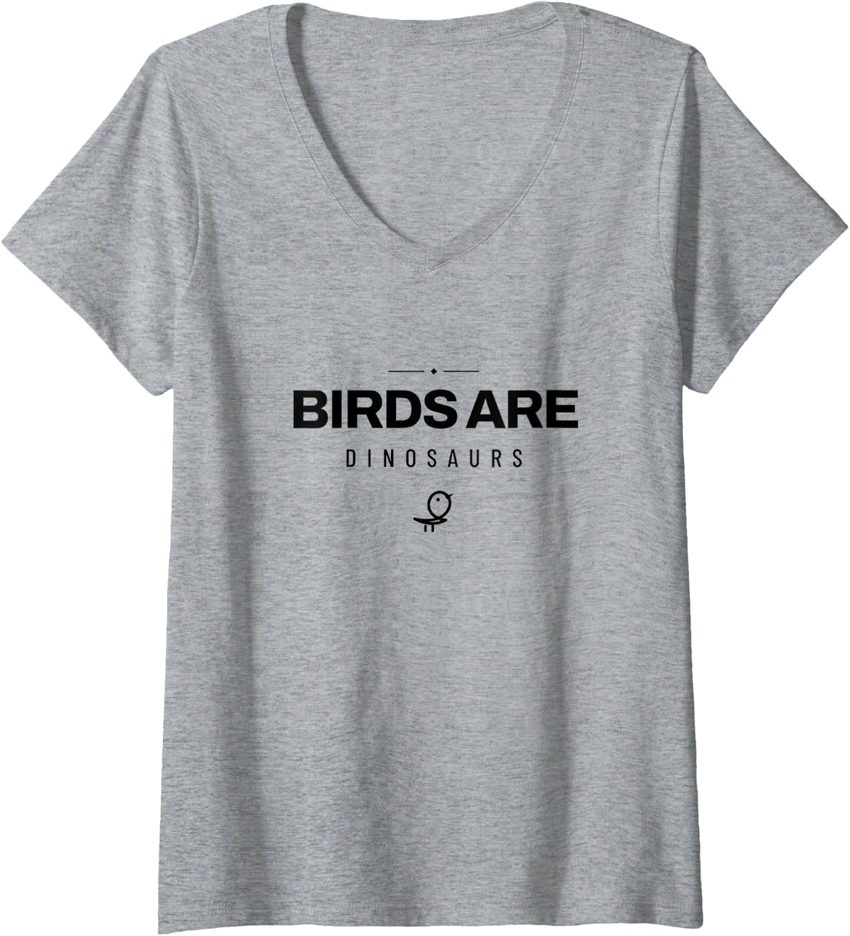 Women's Dinosaur - Birds are Dinosaurs - Dino Lover V-Neck T-Shirt - Heather Grey