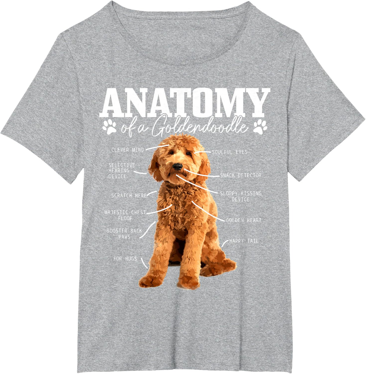 Anatomy of A Goldendoodle Funny Cute Dog Doodle Mom Dad T-Shirt - Heather Grey