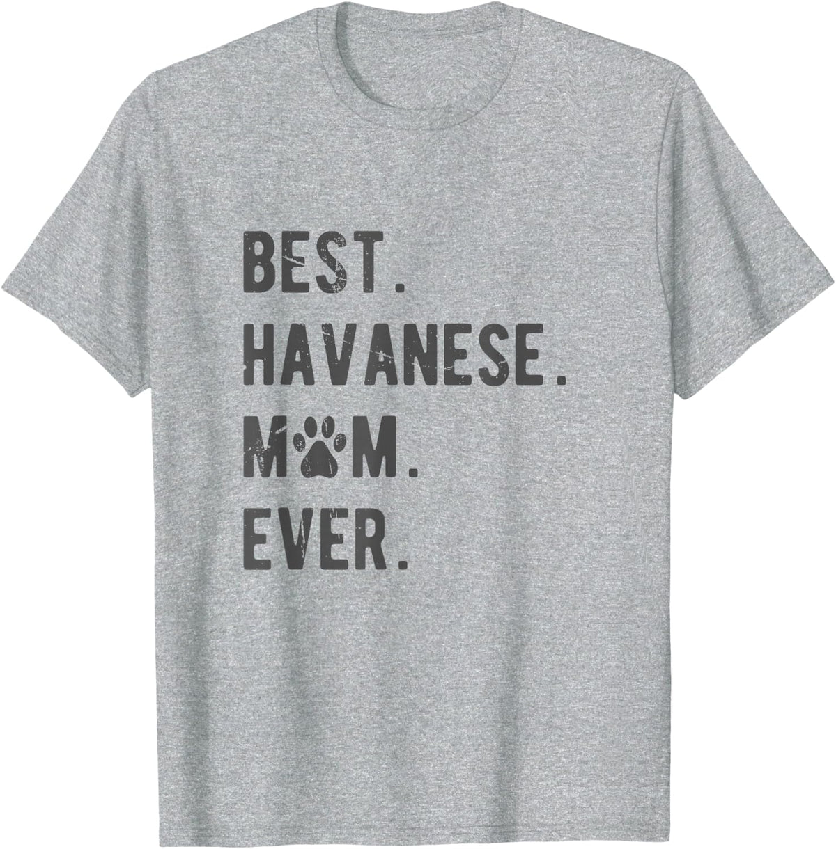 Best Havanese Mom Ever - Funny Havanese Dog Lover Gift Women T-Shirt - Heather Grey