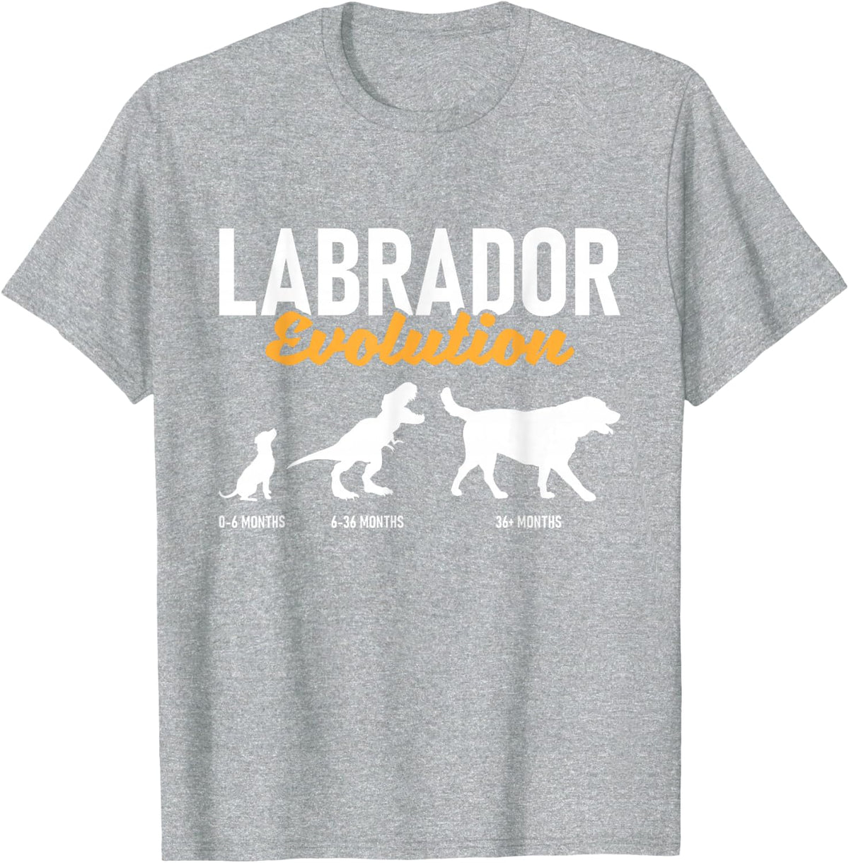 Labrador Evolution - Pet Owner Animal Dog Lover T-Shirt - Heather Grey