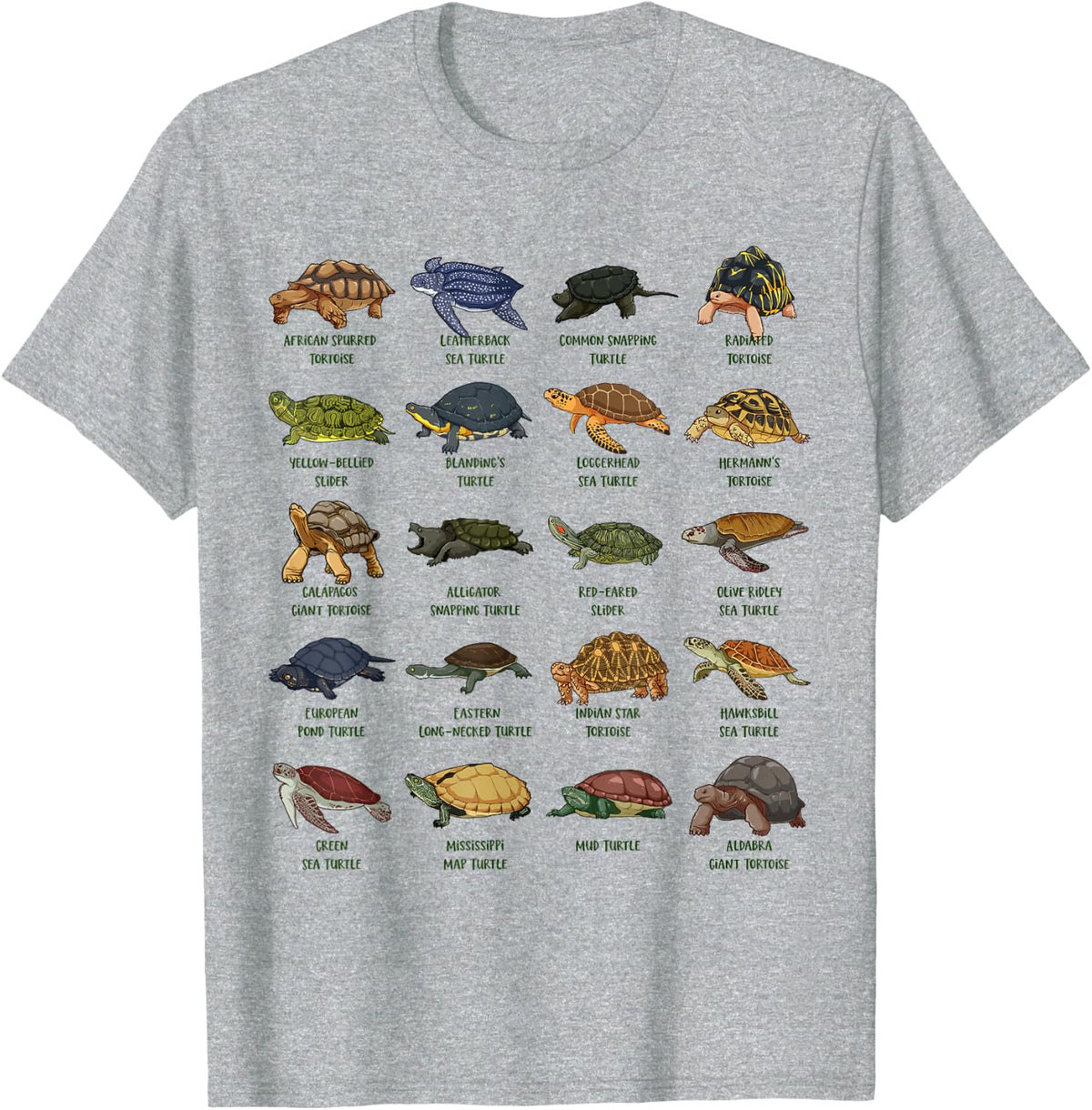 Tortoises and Turtles - Types of Turtles T-Shirt - Heather Grey